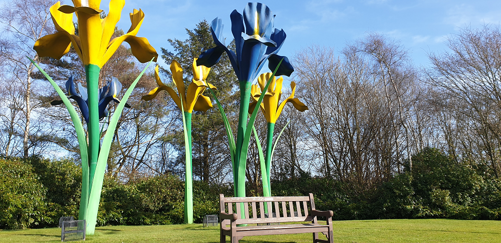 Flowers at the Leslie roundabout in Glenrothes, Fife - home to Itek House